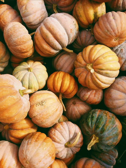 Fall in love with Earth Tones